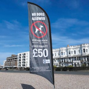 beach flag advising no dogs allowed