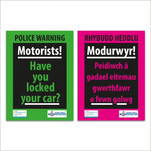 Car Bike Theft 007 1200 x 1200